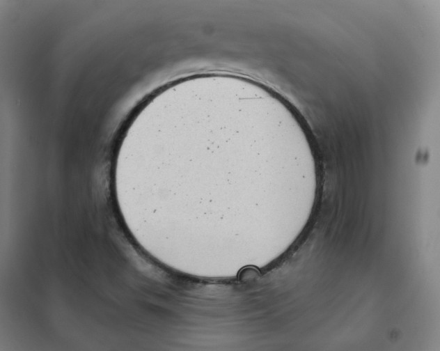 X0000101421503200808041116