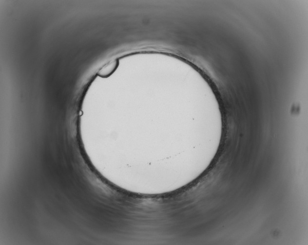 X0000101421504200808041116