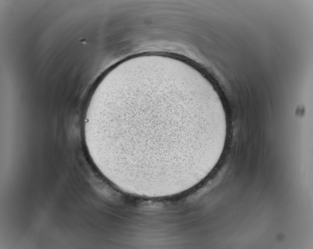 X0000101421505200808041116