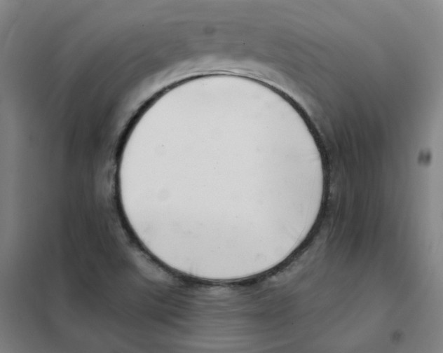 X0000101421507200808041116