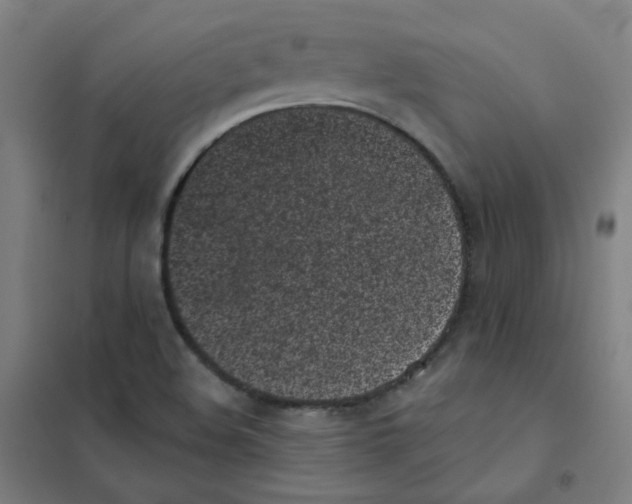 X0000101421508200808041116