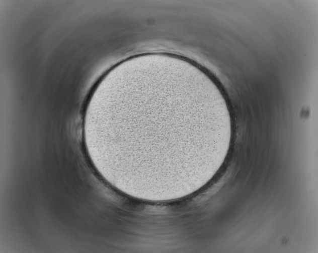 X0000101421509200808041116