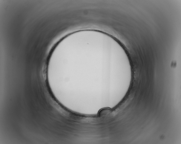 X0000101421510200808041116