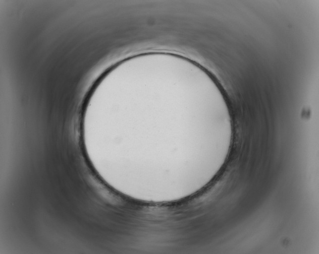 X0000101421511200808041116
