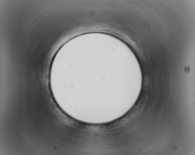 X0000101421512200808041116