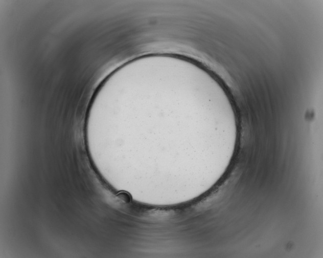 X0000101421513200808041116