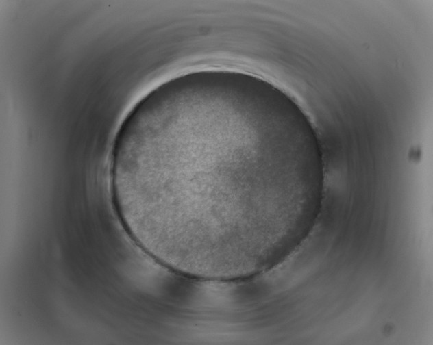 X0000101421514200808041116