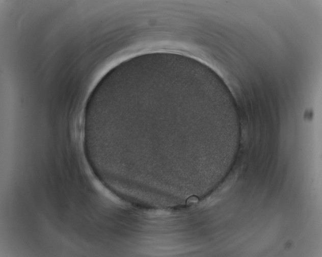 X0000101421515200808041116