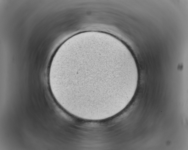X0000101421517200808041116