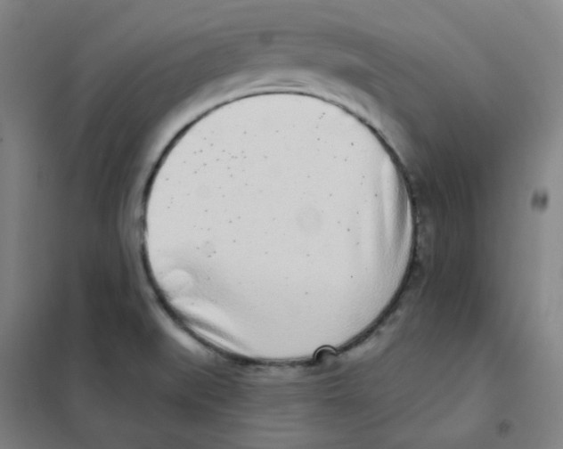 X0000101421519200808041116