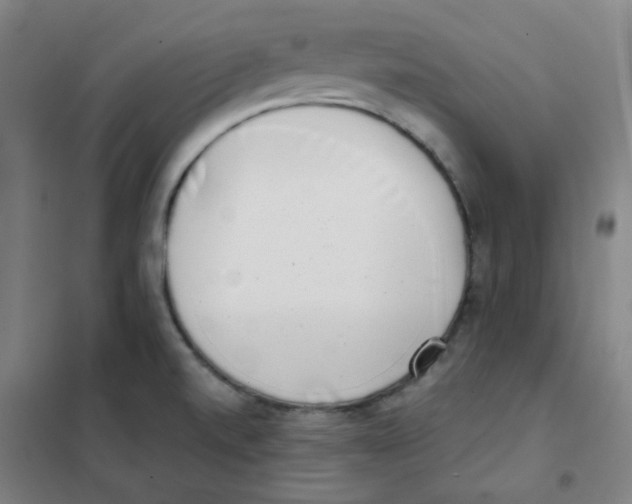 X0000101421520200808041116