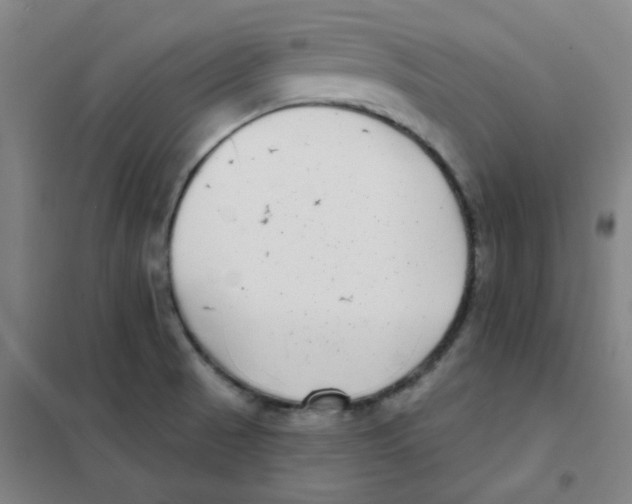 X0000101421521200808041116