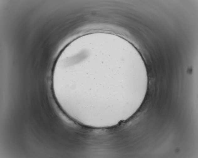 X0000101421523200808041116
