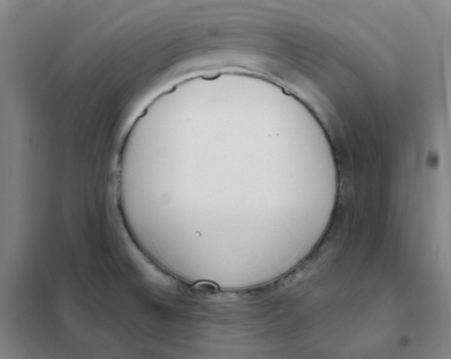 X0000101421524200808041116