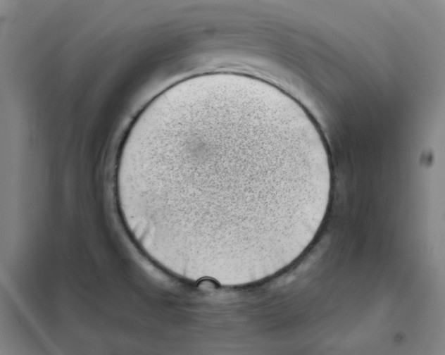 X0000101421525200808041116