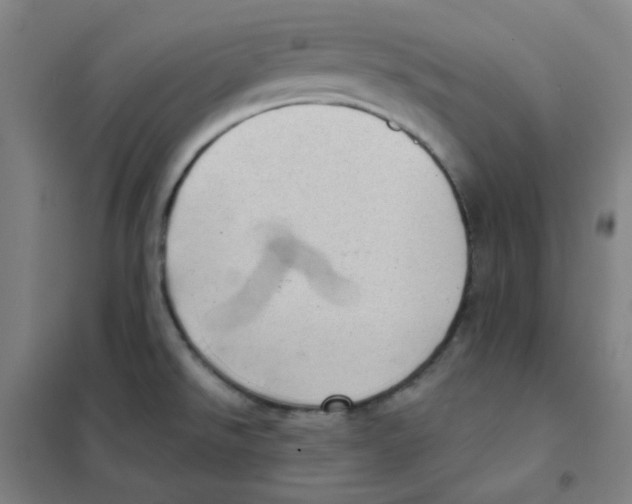 X0000101421526200808041116