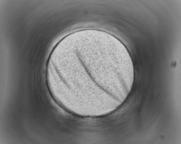 X0000101421527200808041116