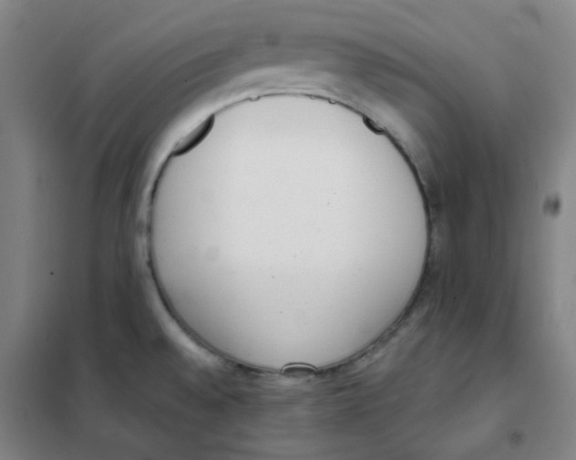 X0000101421528200808041116