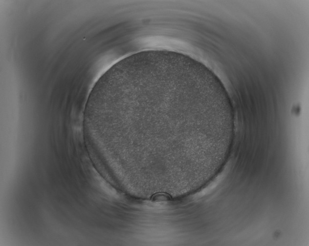 X0000101421529200808041116