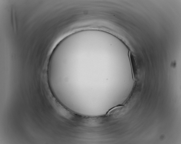 X0000101421530200808041116