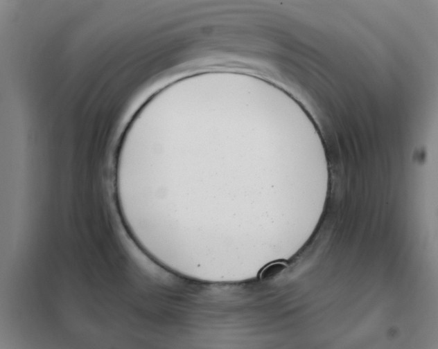 X0000101421531200808041116