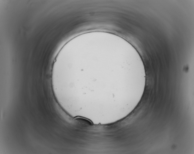 X0000101421532200808041116