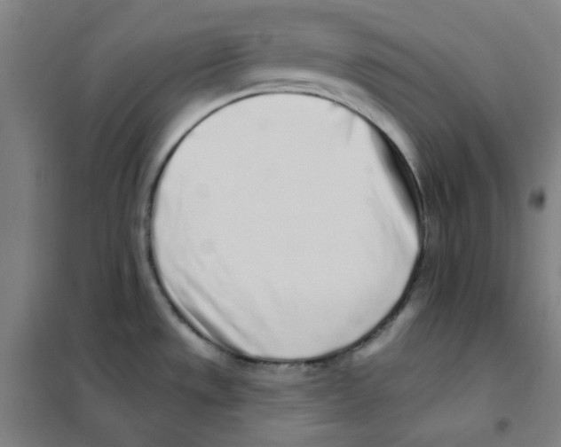 X0000101421533200808041116