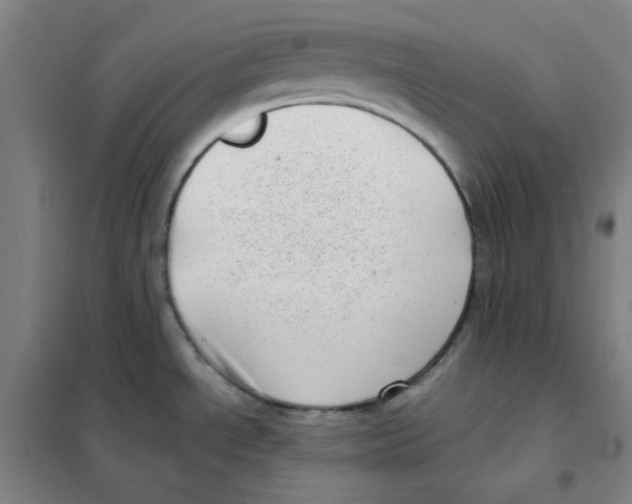 X0000101421534200808041116