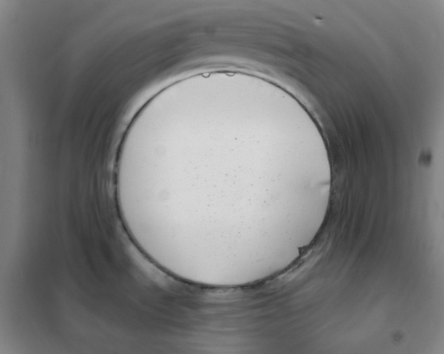 X0000101421535200808041116