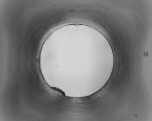 X0000101421536200808041116