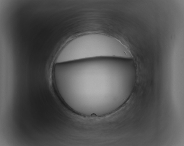 X0000101430002200807071015