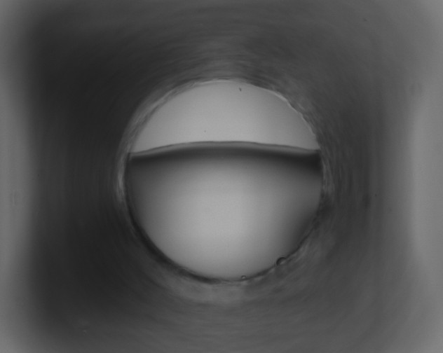 X0000101430004200807071015