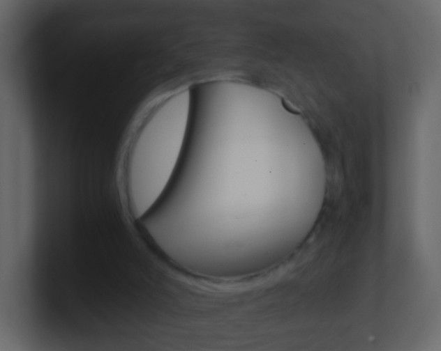 X0000101430006200807071015