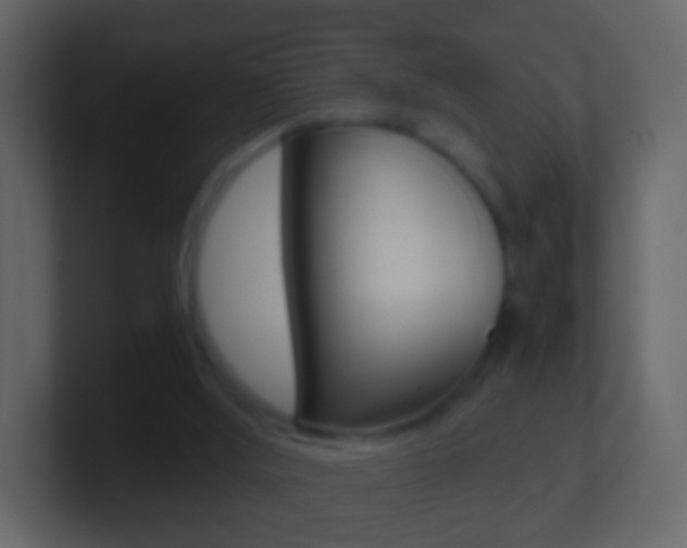 X0000101430012200807071015