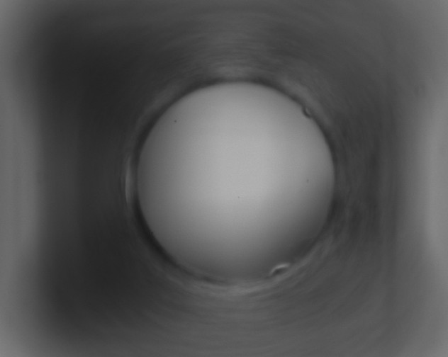 X0000101430019200807071015