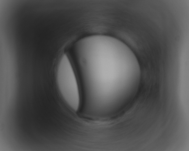 X0000101430020200807071015