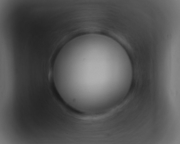 X0000101430021200807071015