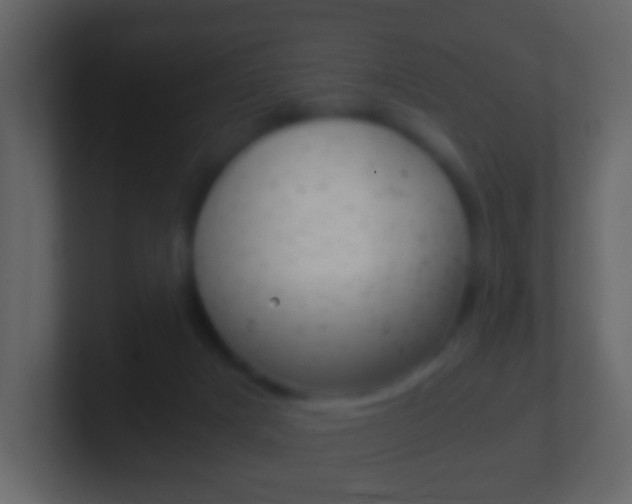 X0000101430025200807071015
