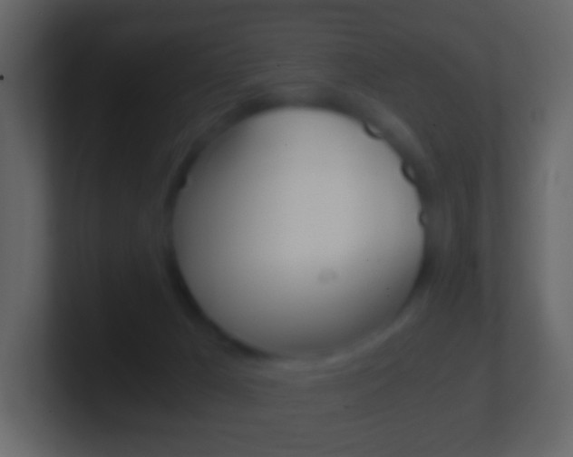 X0000101430029200807071015