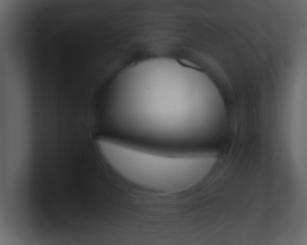 X0000101430036200807071015