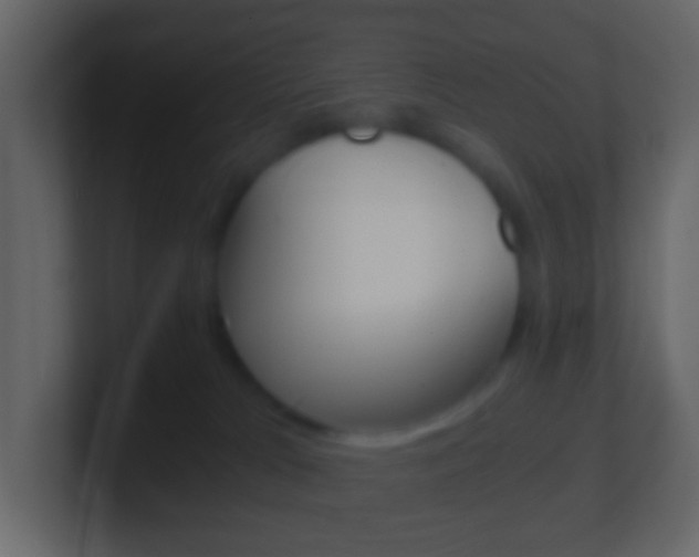X0000101430037200807071015