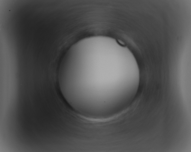 X0000101430039200807071015
