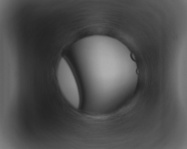 X0000101430040200807071015