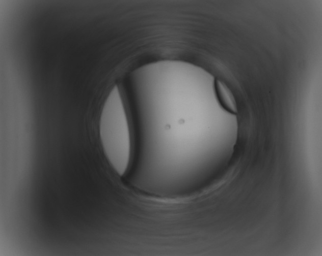 X0000101430044200807071015