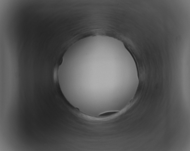 X0000101430047200807071015