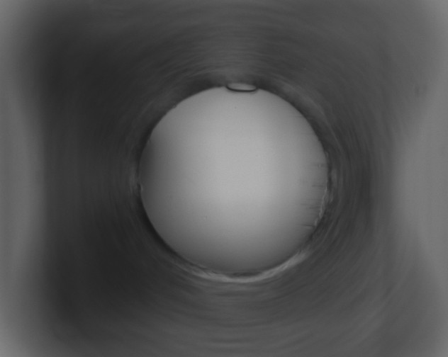 X0000101430048200807071015