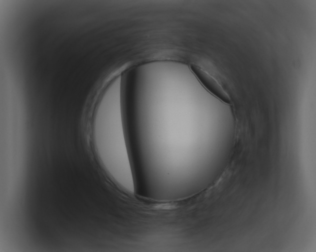 X0000101430050200807071014