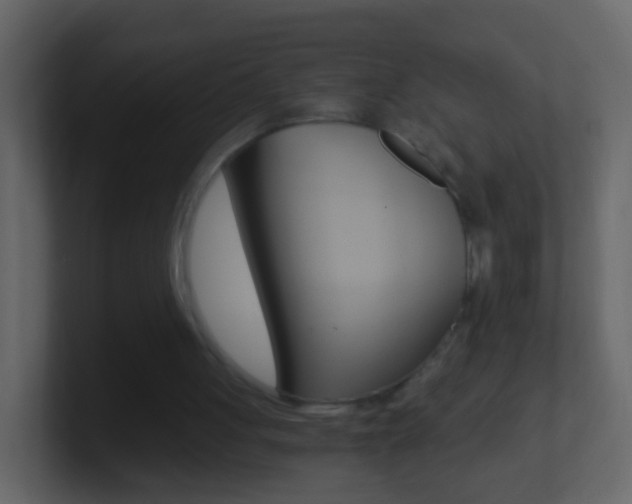 X0000101430051200807071014
