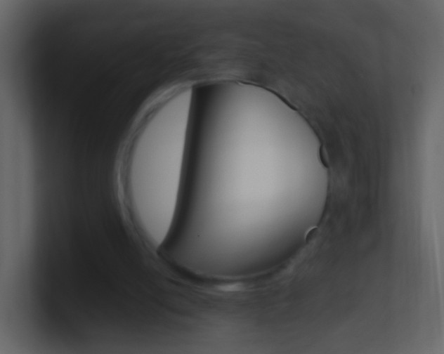 X0000101430054200807071014