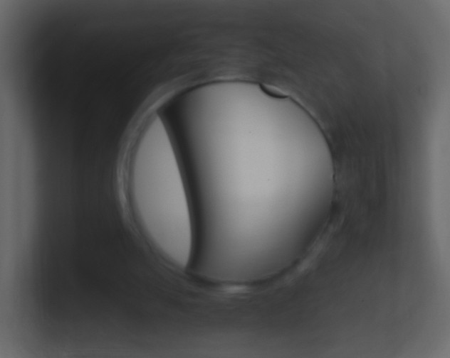 X0000101430055200807071014